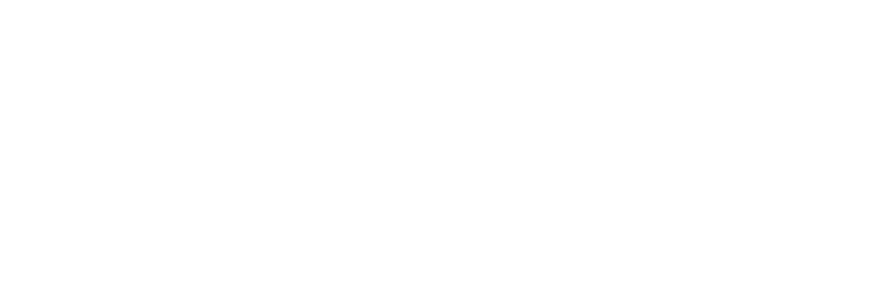 Logo Kiss the Kiesch
